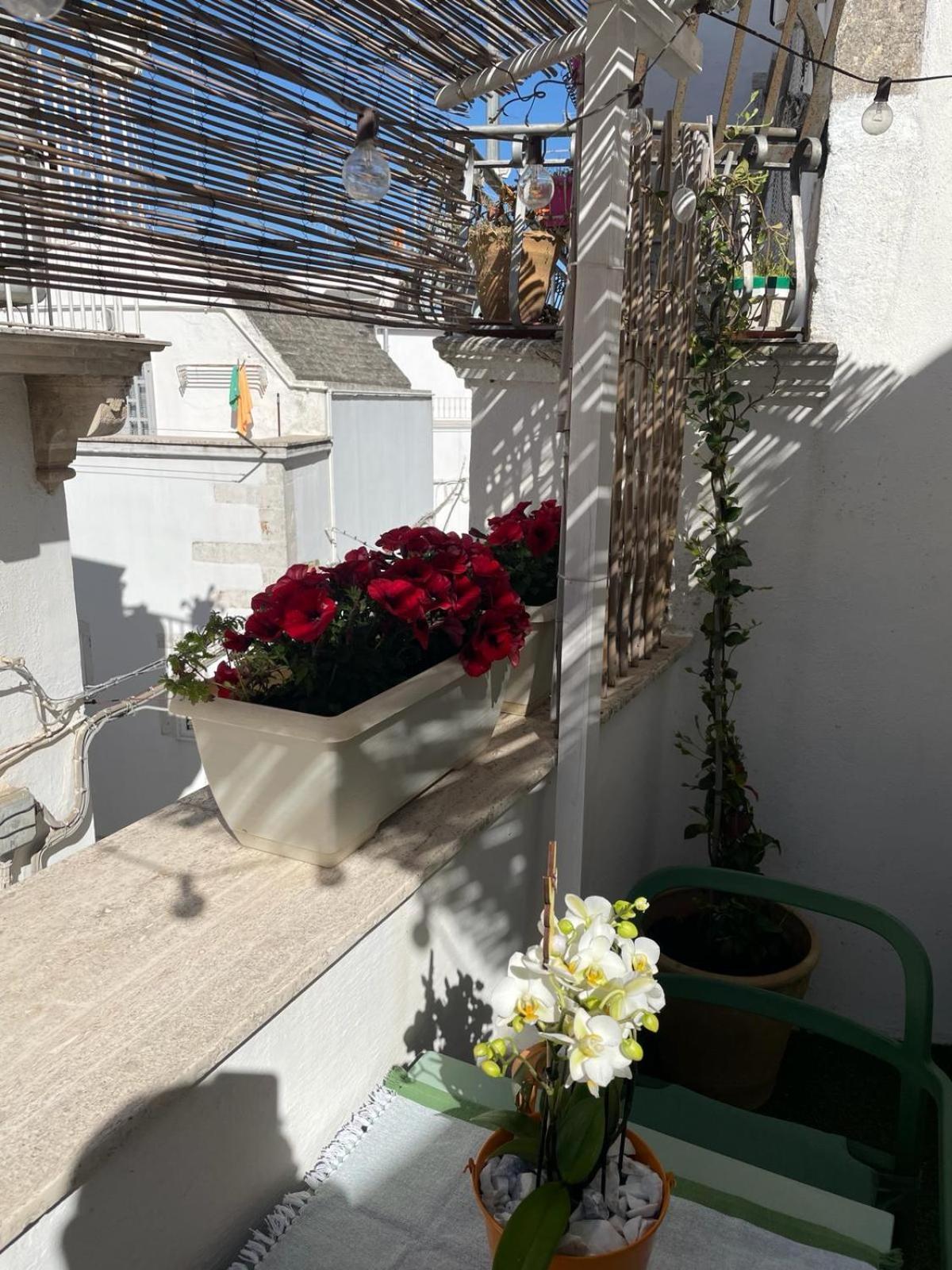 Casa Del Riccio Nel Centro Storico Appartement Martina Franca Buitenkant foto